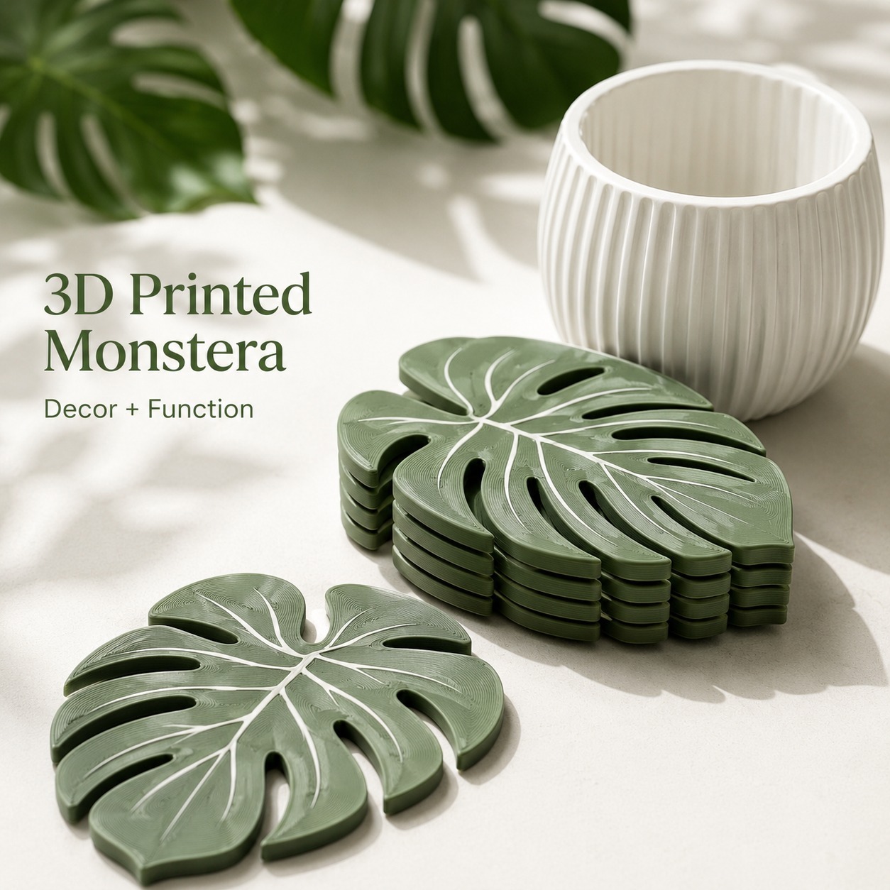Monstera Plant Coasters 3D Pri - Home Office Layout 评论和价格