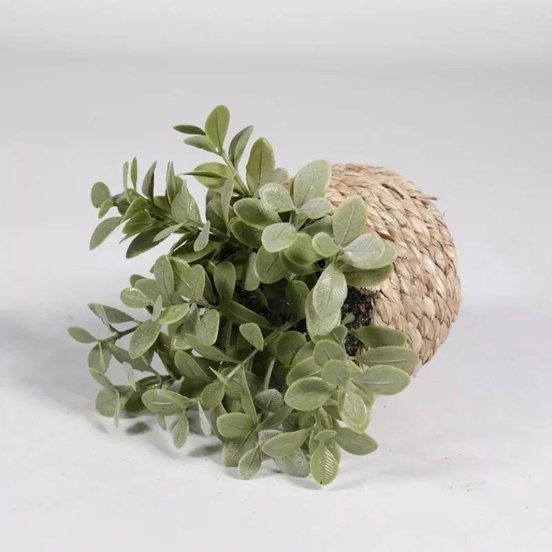 1pcs Woven Small Artificial Gr - Home Office Layout 评论和价格