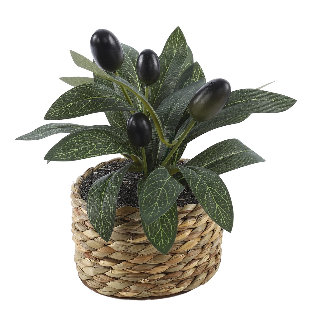 Artificial Plants Pocket Olive - Home Office Layout 评论和价格